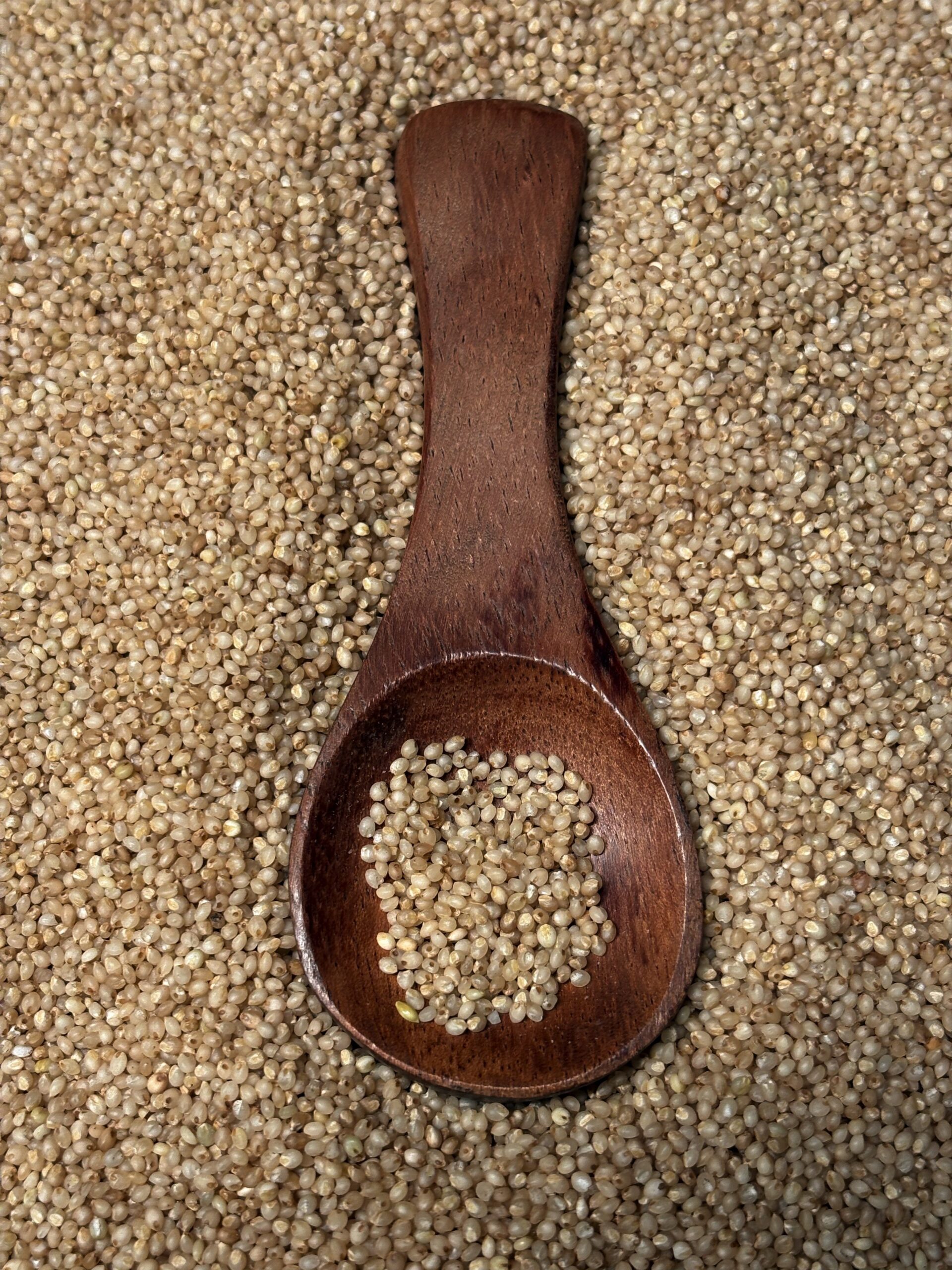 Proso Millets 3